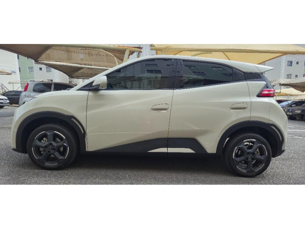 BYD Dolphin Mini
