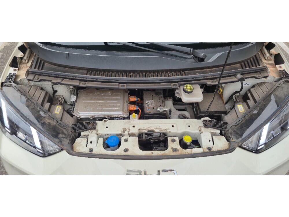 BYD Dolphin Mini