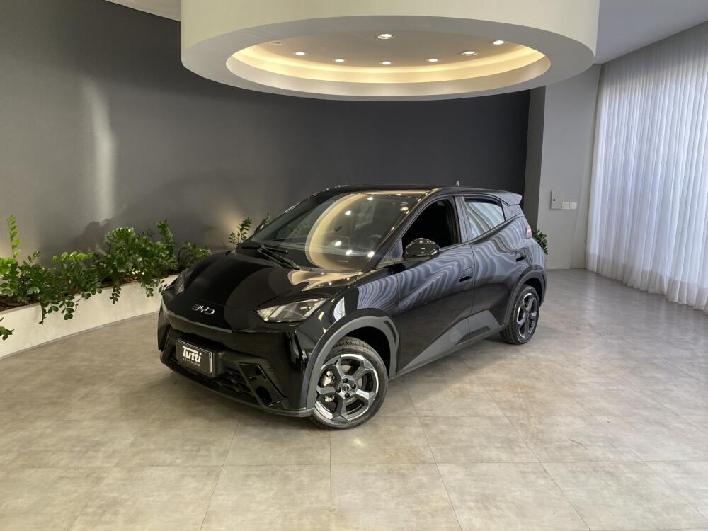 BYD Dolphin Mini Dolphin Mini (Elétrico) 2024