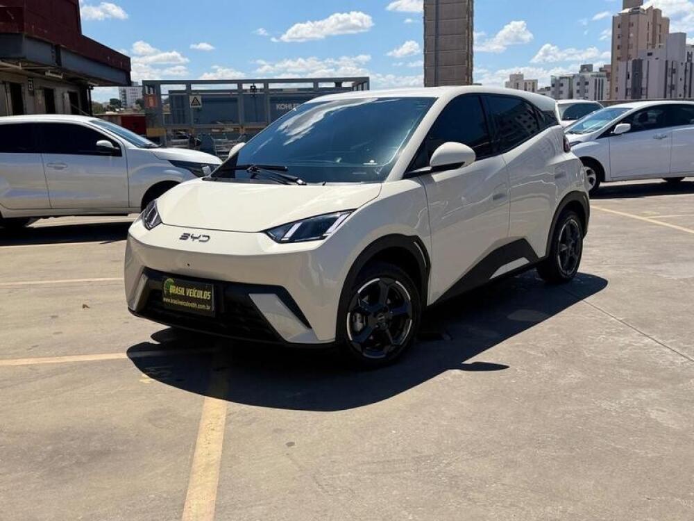 BYD Dolphin Mini 1.0 6v MINI 2024