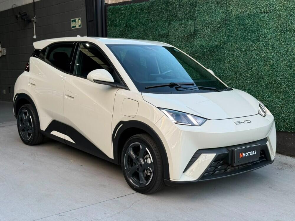 BYD Dolphin Mini GS 2024