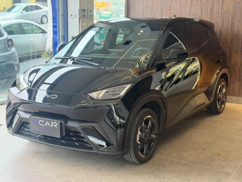 BYD Dolphin Mini GS EV 2024
