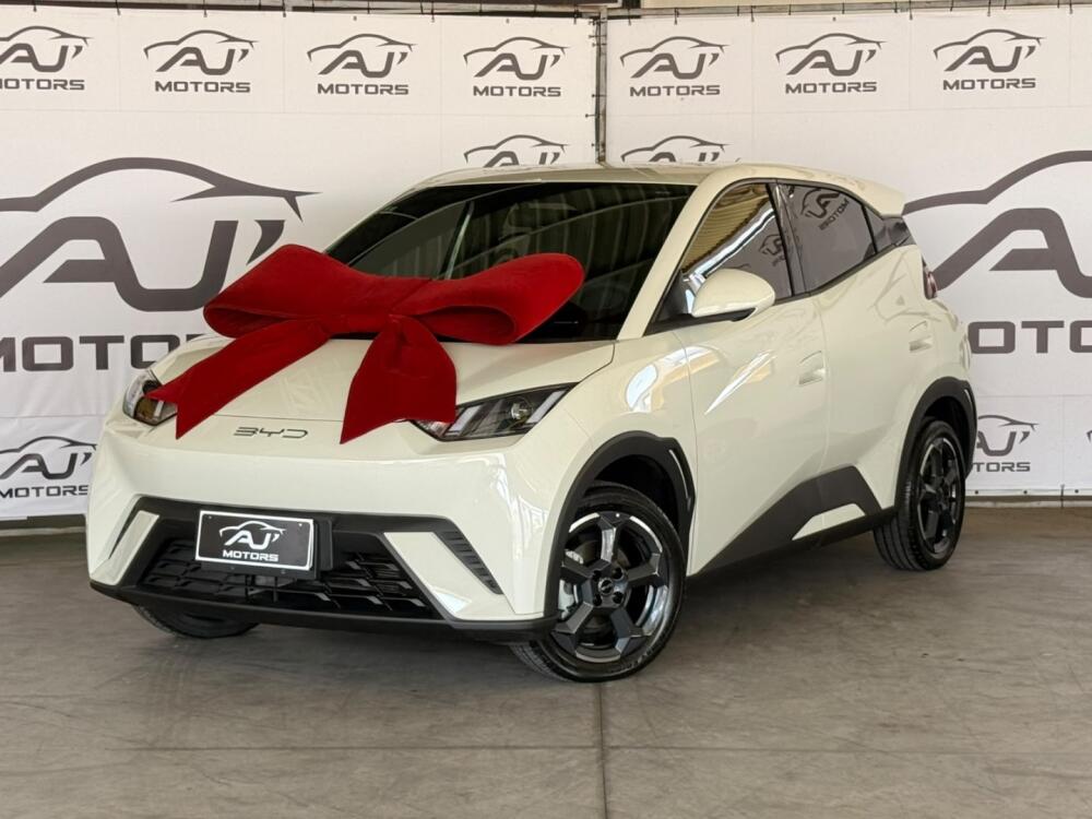BYD Dolphin Mini GS EV 2024