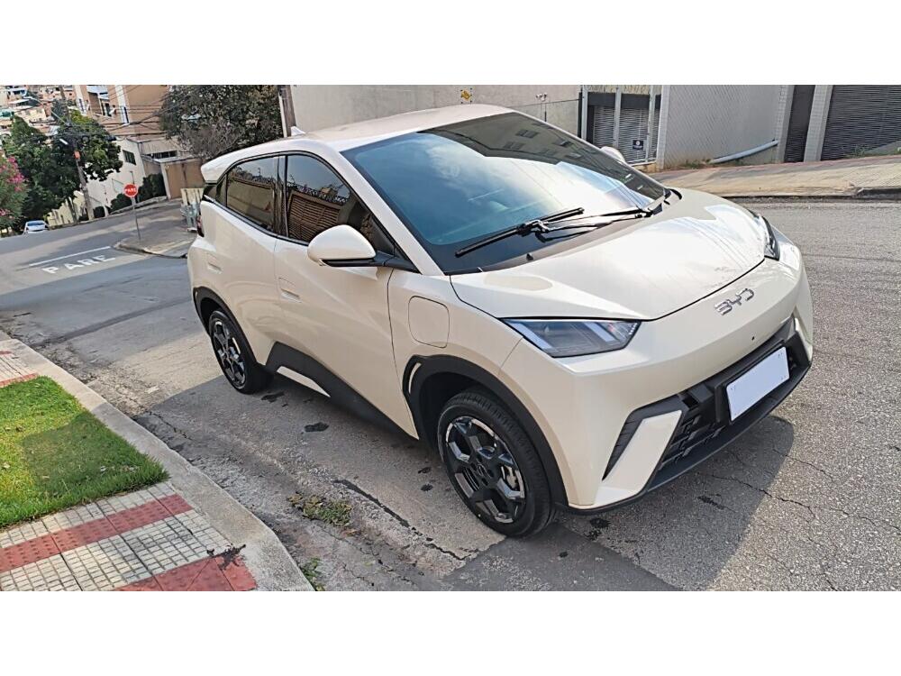 BYD Dolphin Mini
