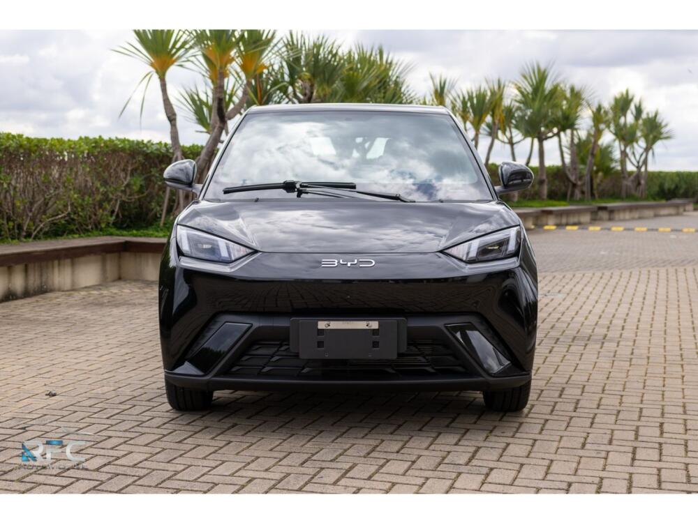 BYD Dolphin Mini