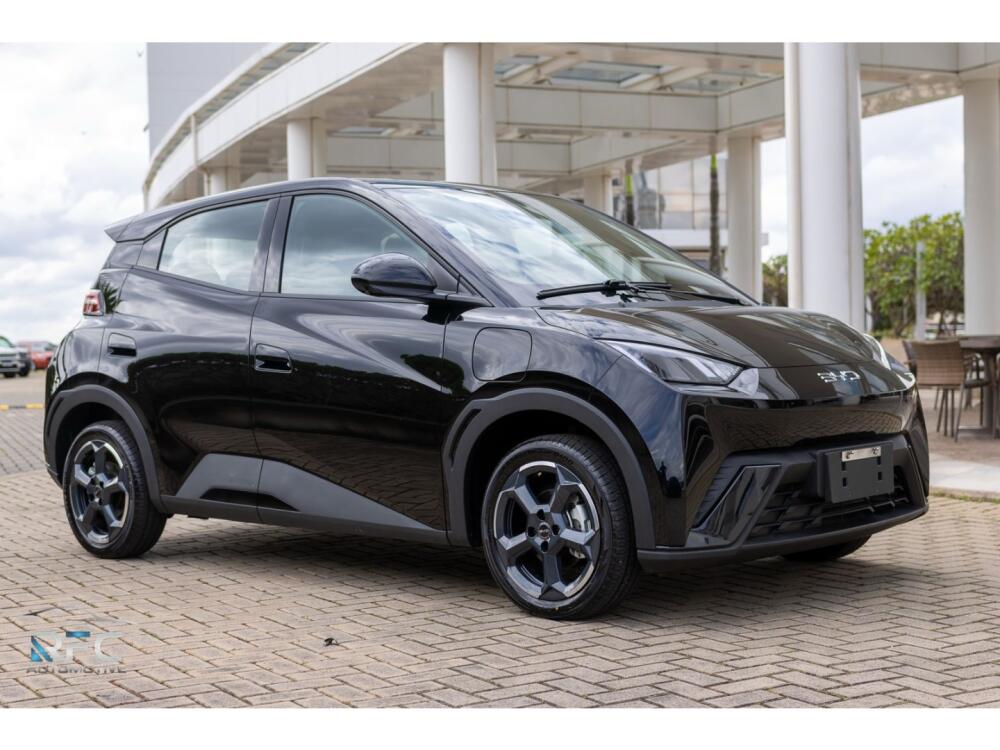 BYD Dolphin Mini