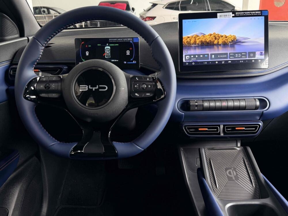BYD Dolphin Mini