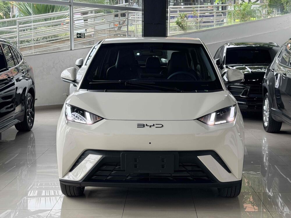 BYD Dolphin Mini
