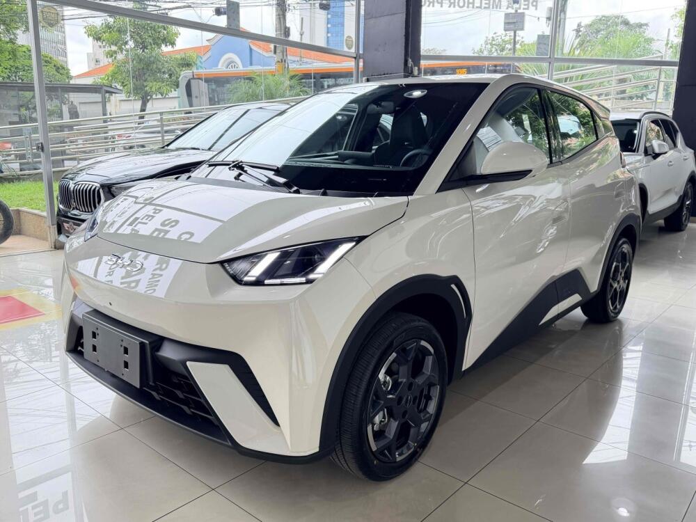 BYD Dolphin Mini