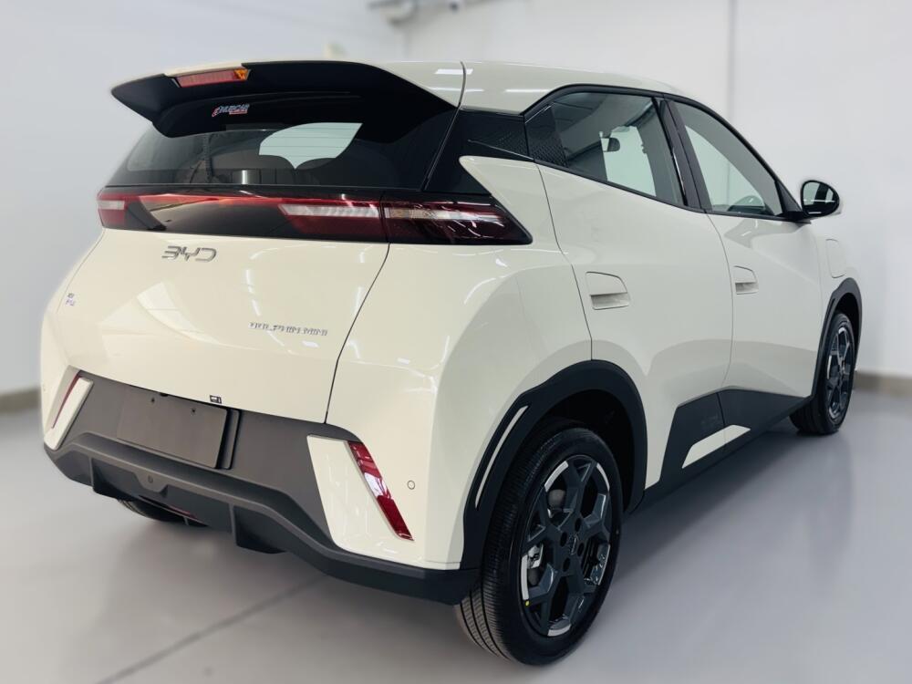 BYD Dolphin Mini