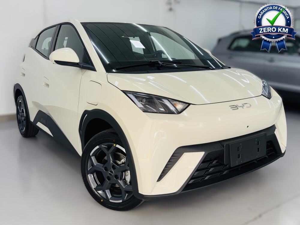 BYD Dolphin Mini