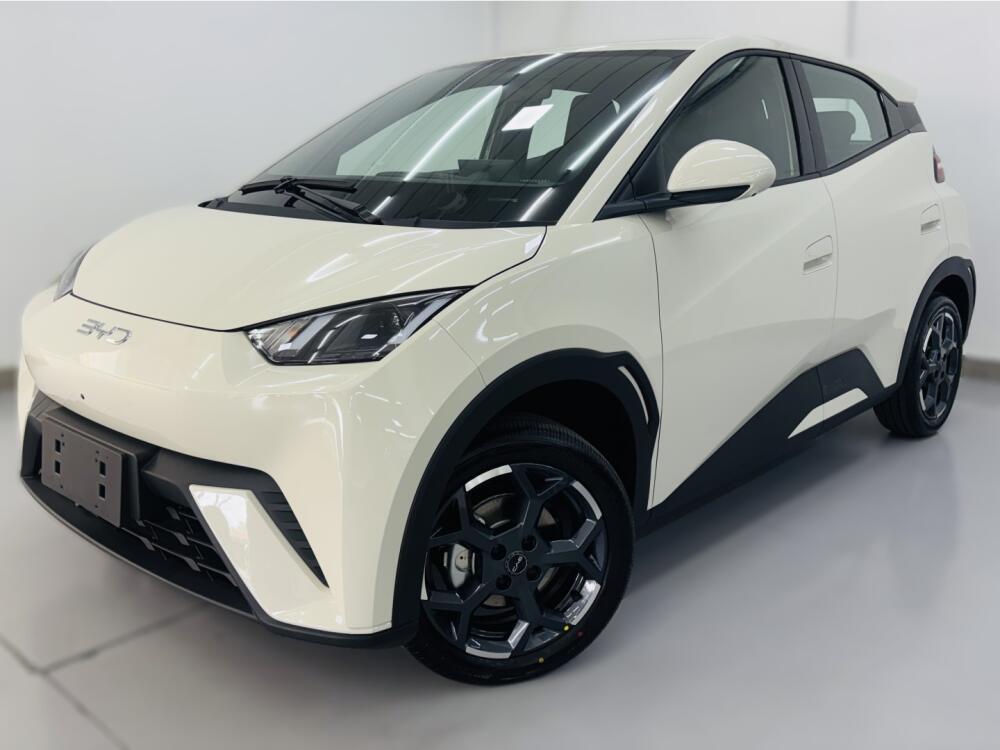BYD Dolphin Mini