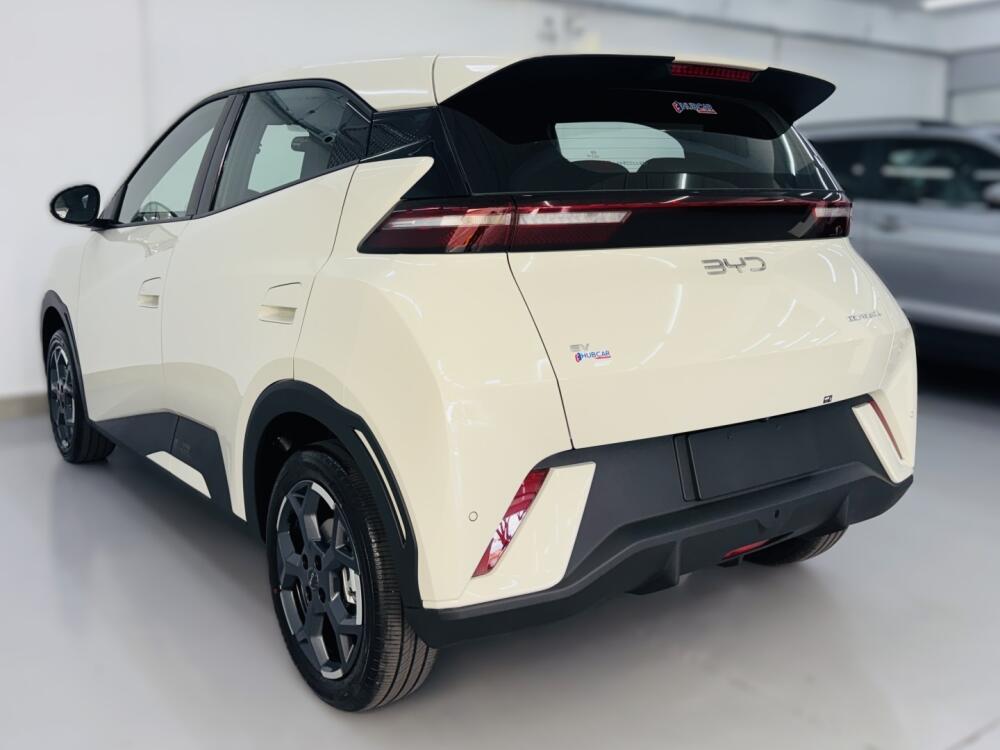 BYD Dolphin Mini