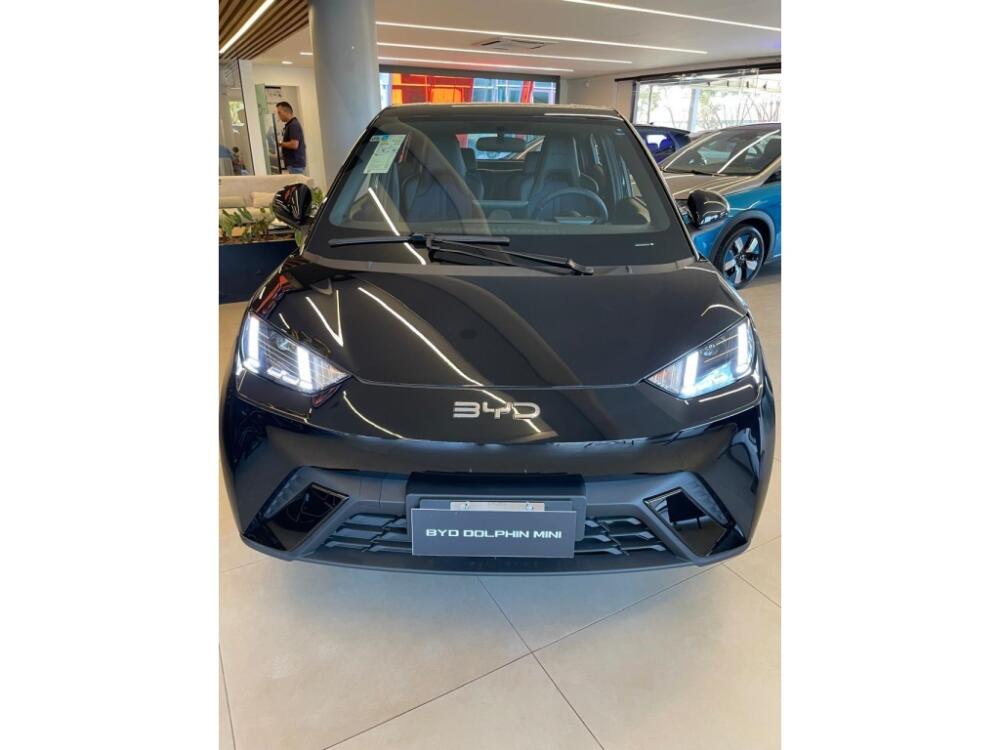 BYD Dolphin Mini