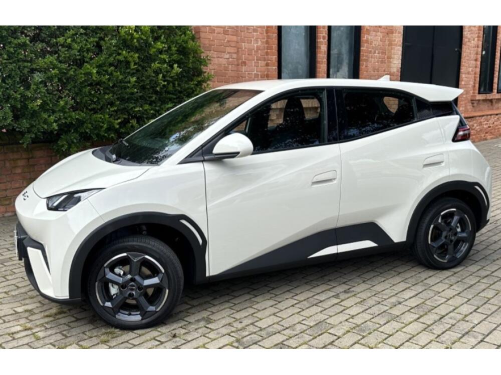 BYD Dolphin Mini