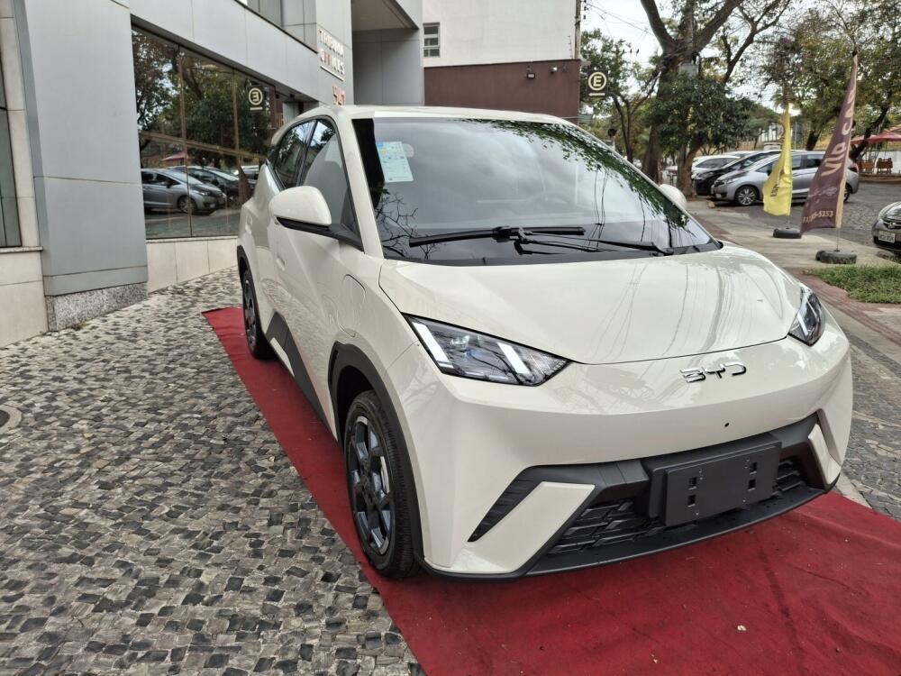 BYD Dolphin Mini