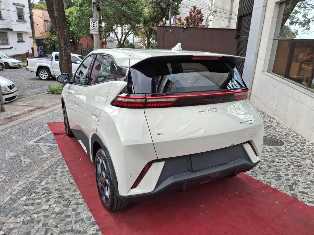 BYD Dolphin Mini