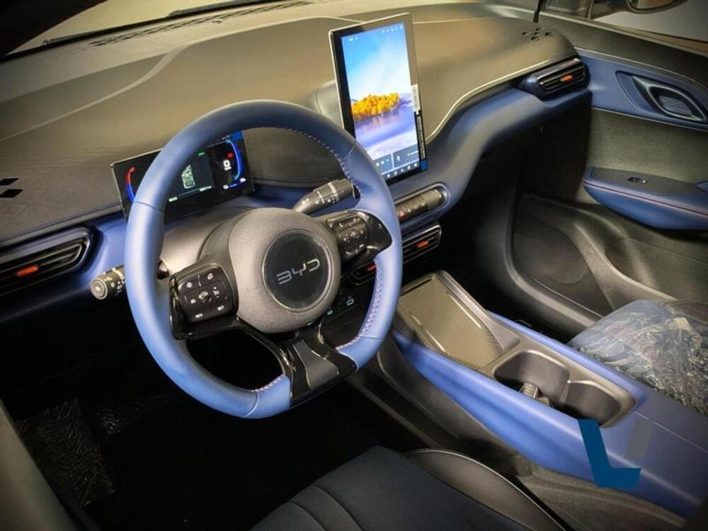 BYD Dolphin Mini