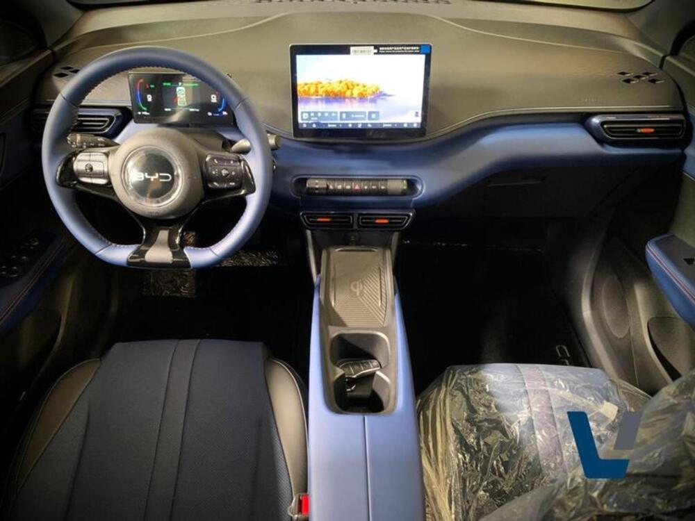 BYD Dolphin Mini