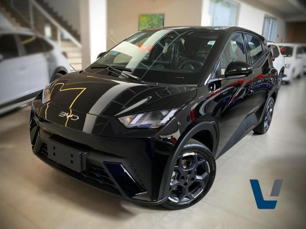 BYD Dolphin Mini
