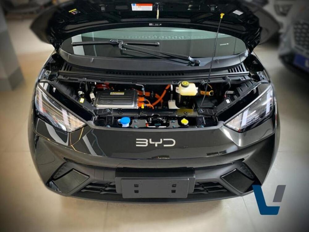 BYD Dolphin Mini