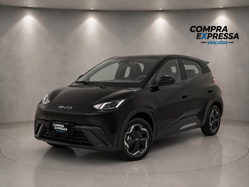 BYD Dolphin Mini