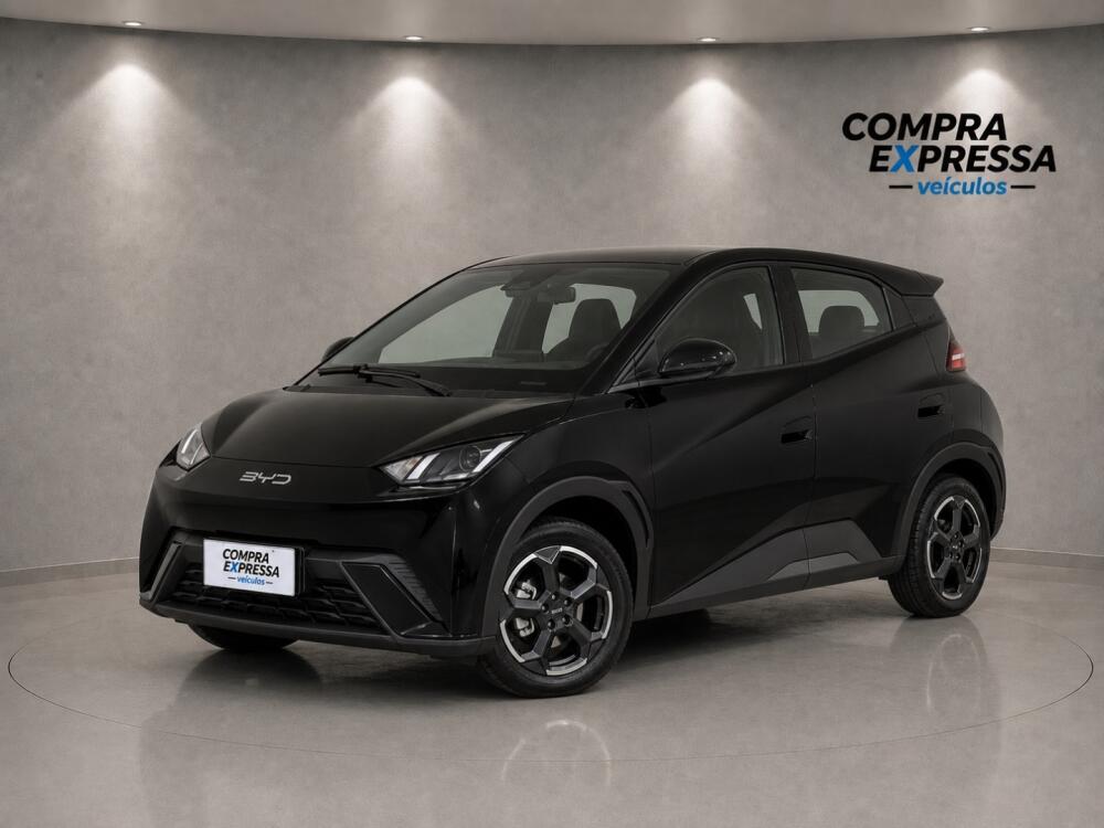 BYD Dolphin Mini