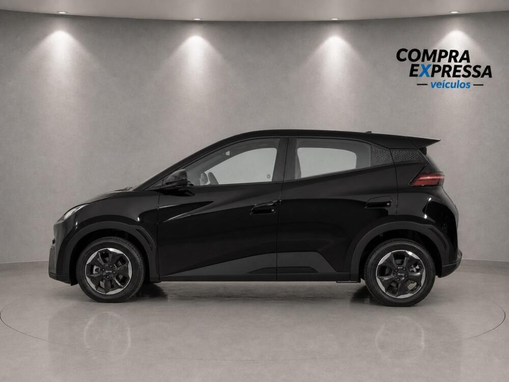 BYD Dolphin Mini