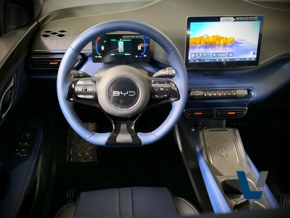BYD Dolphin Mini