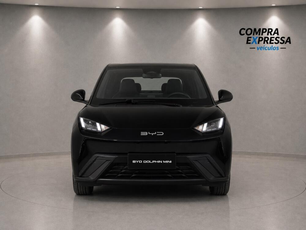 BYD Dolphin Mini