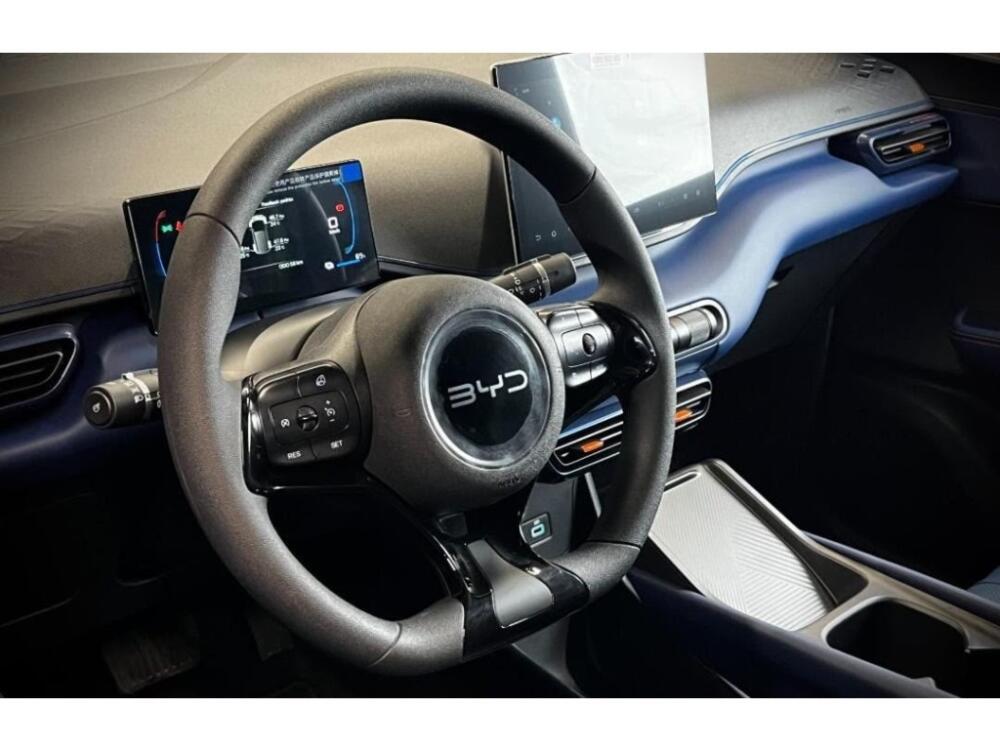 BYD Dolphin Mini