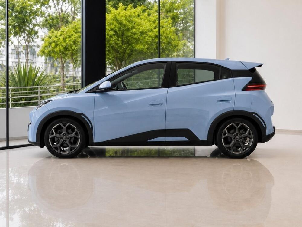 BYD Dolphin Mini