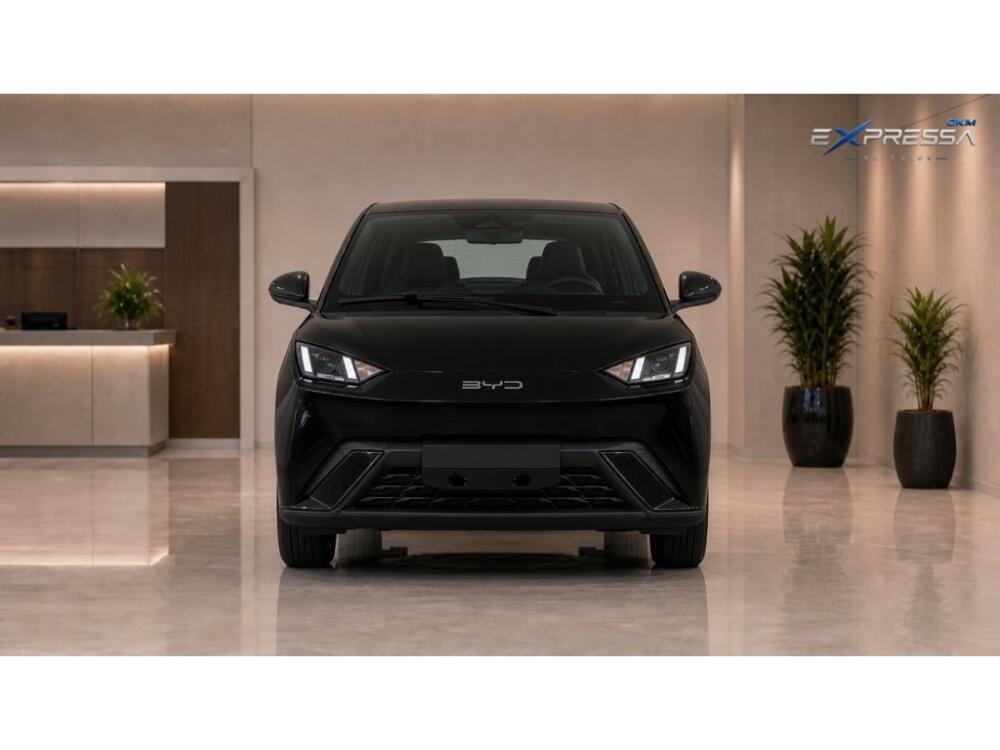 BYD Dolphin Mini