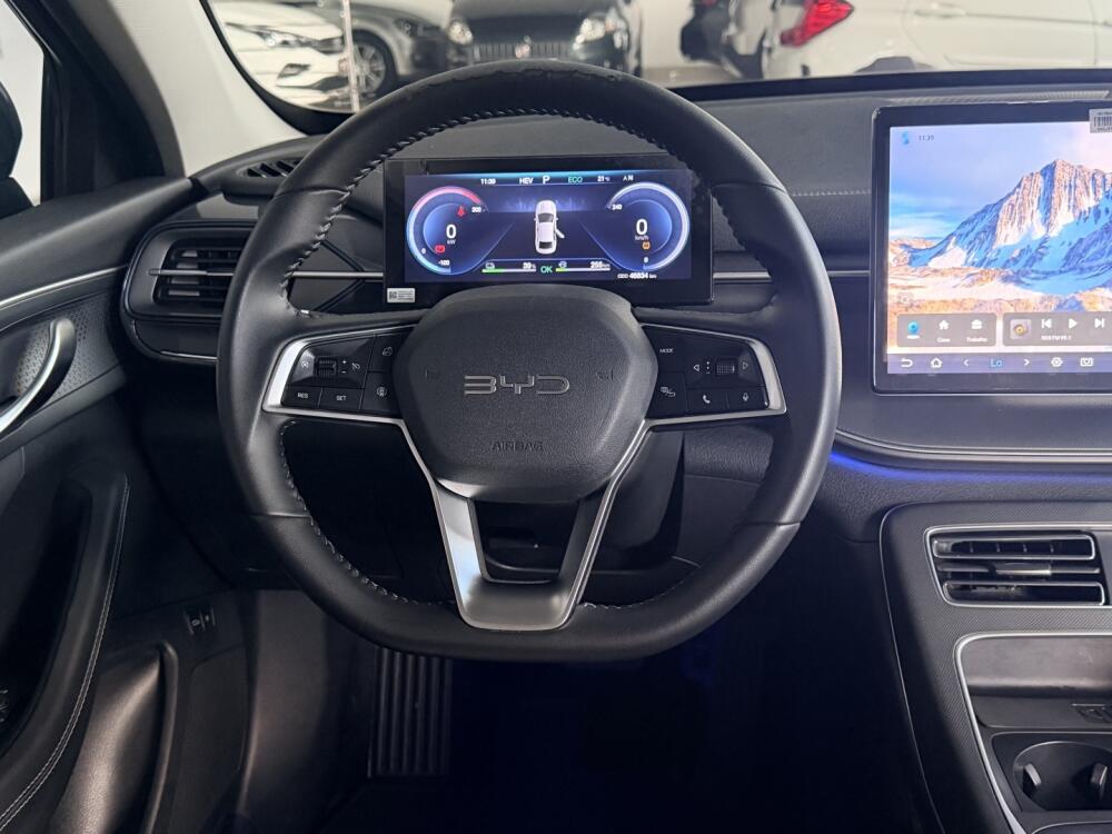 BYD King