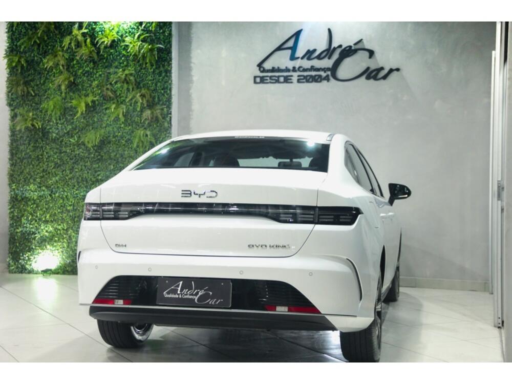 BYD King