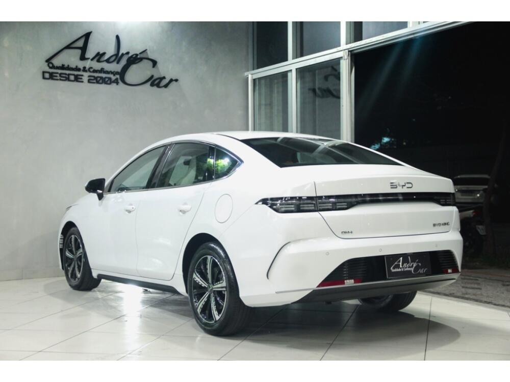 BYD King
