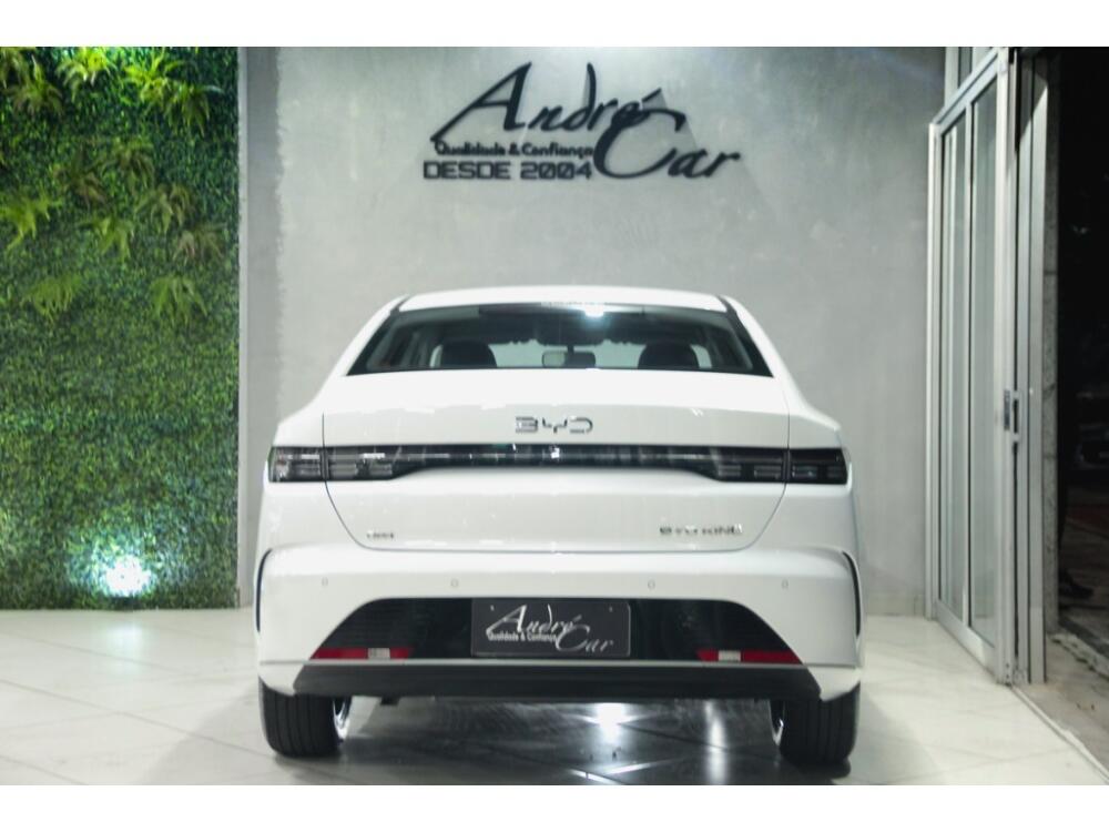 BYD King