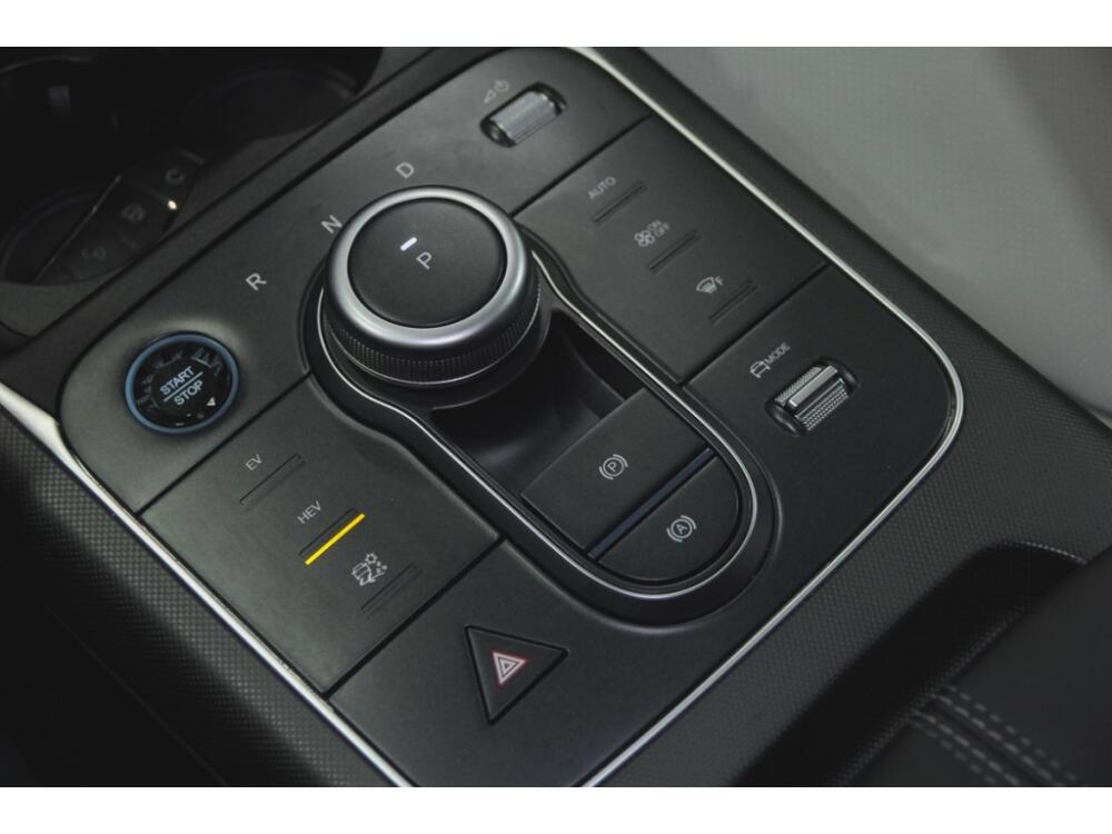 BYD King