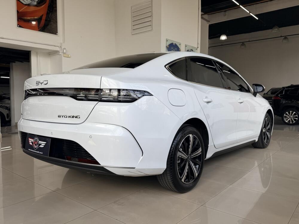 BYD King