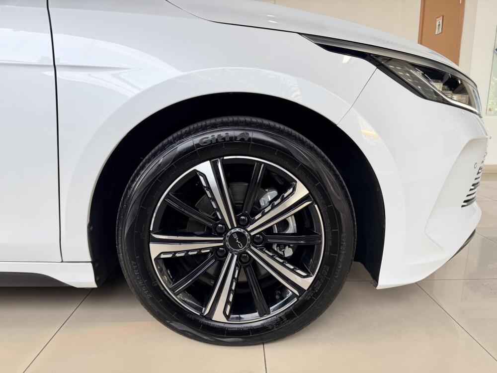 BYD King