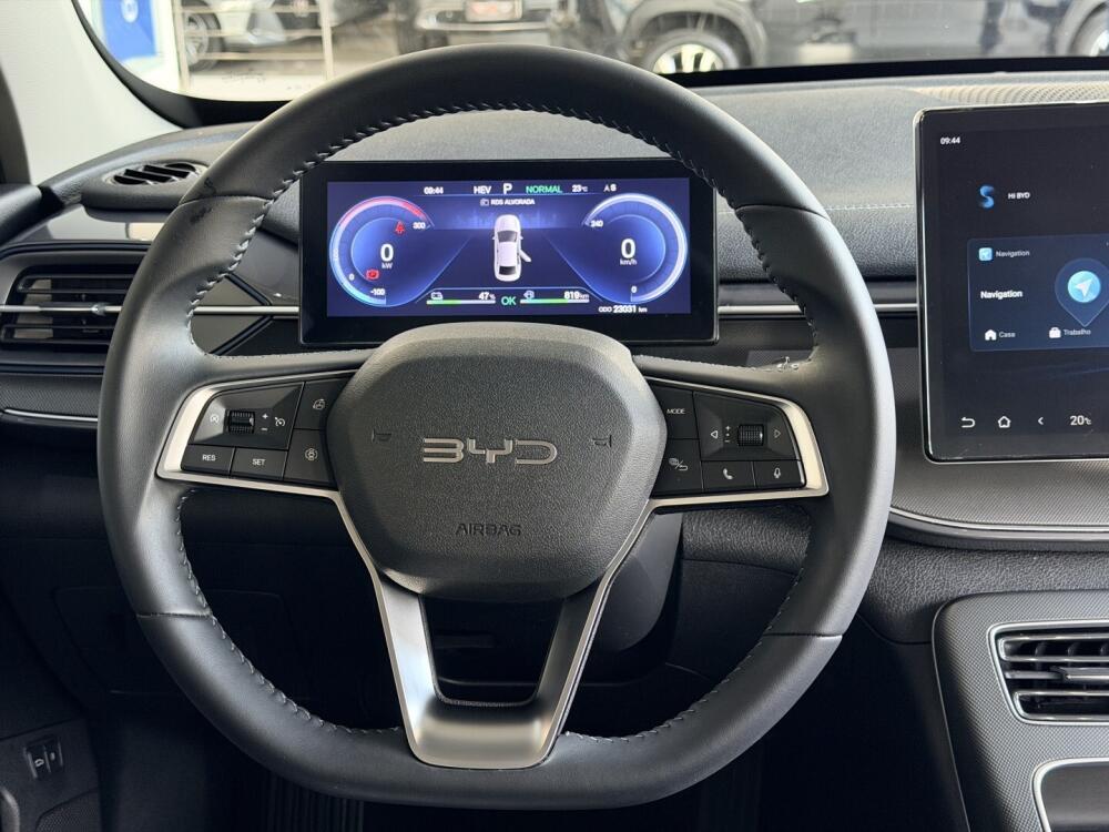 BYD King
