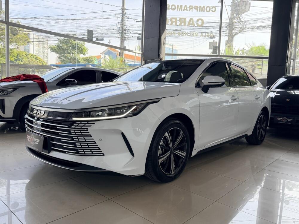 BYD King