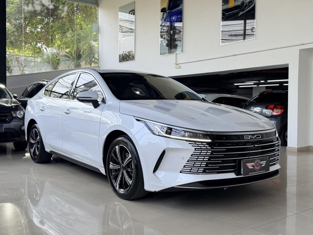BYD King