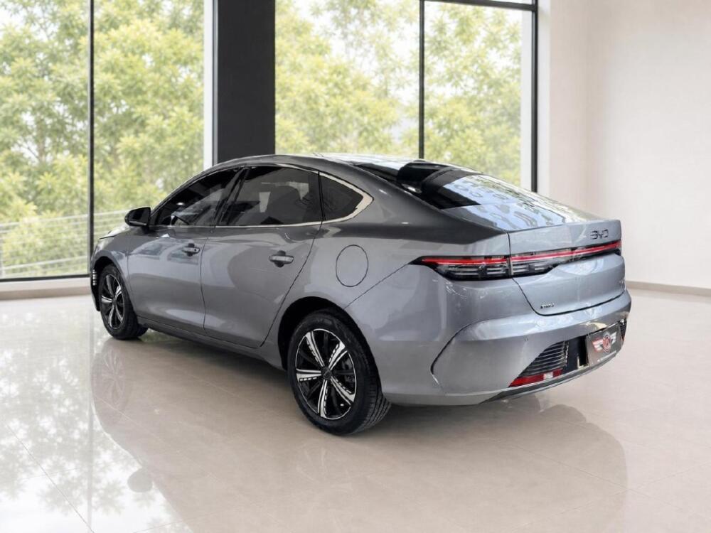 BYD King