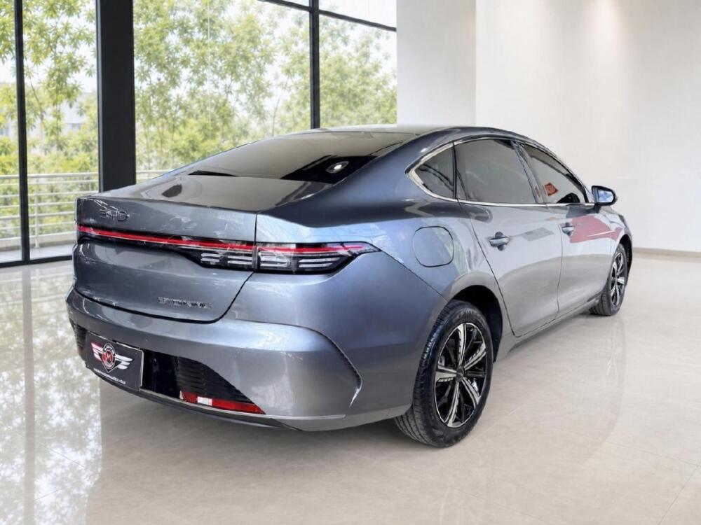 BYD King