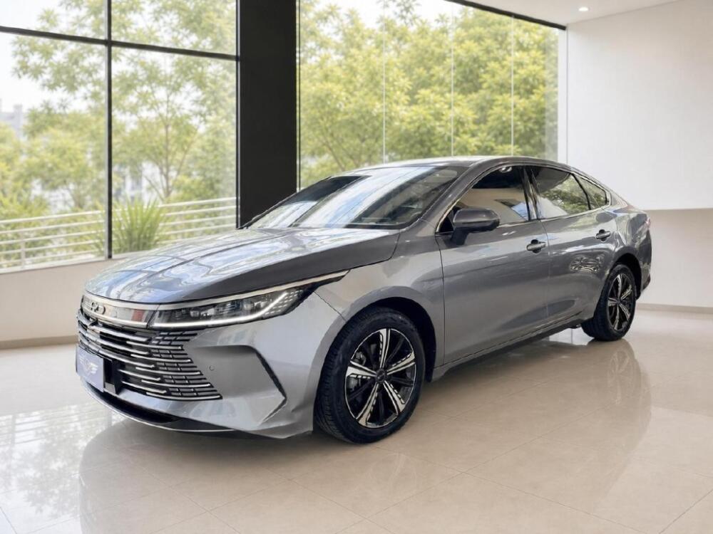 BYD King