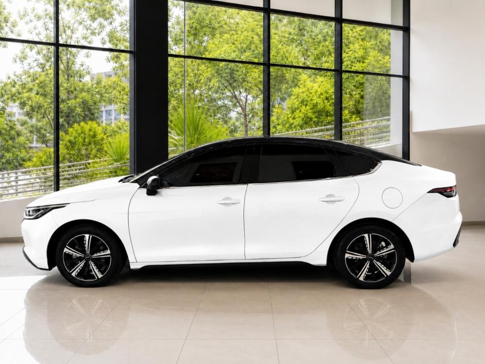 BYD King