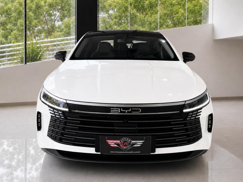 BYD King