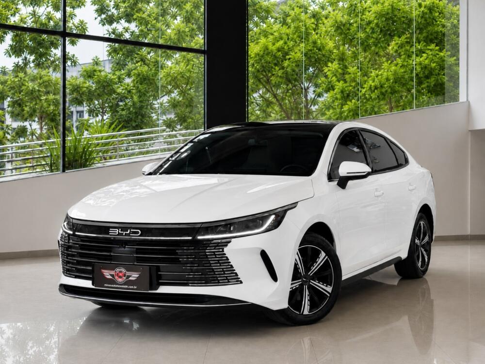 BYD King