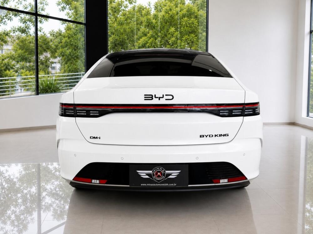 BYD King